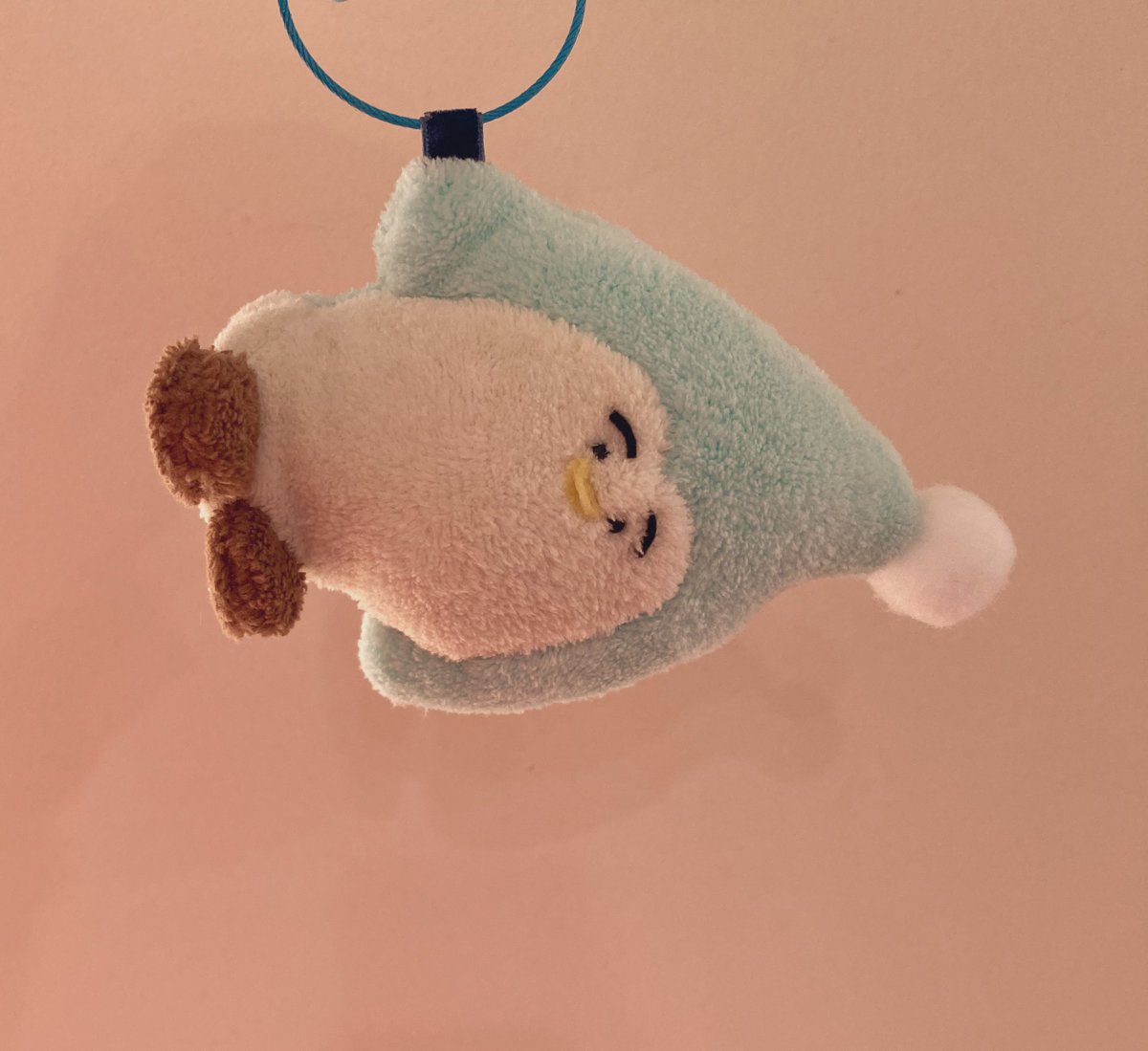 ぬいぐるみ・マスコット kana Amazon.co.jp: 鬼滅の刃 栗花落カナヲ Chibiぬいマスコット : おもちゃ