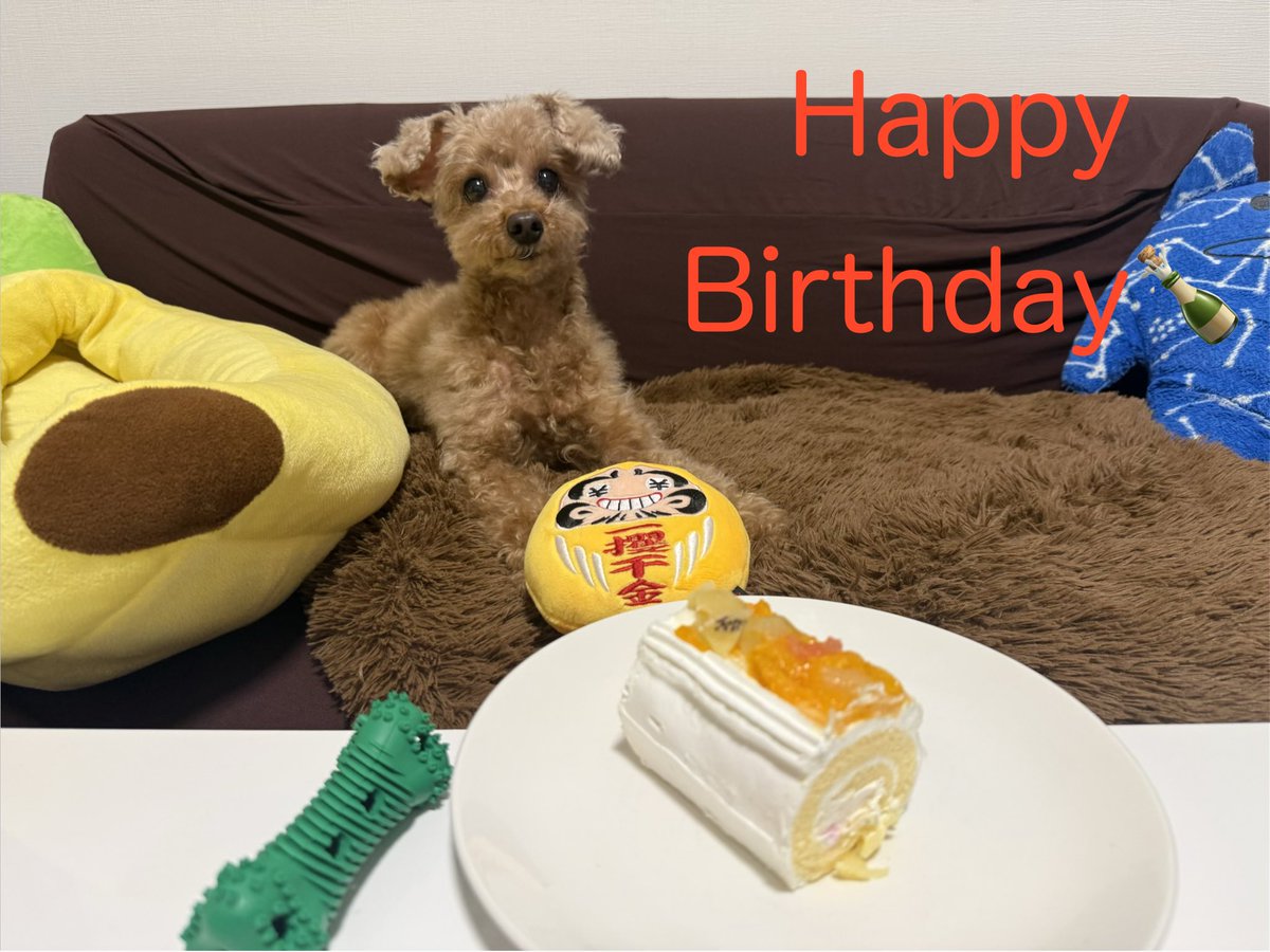 【WTG】わちくん tweet media