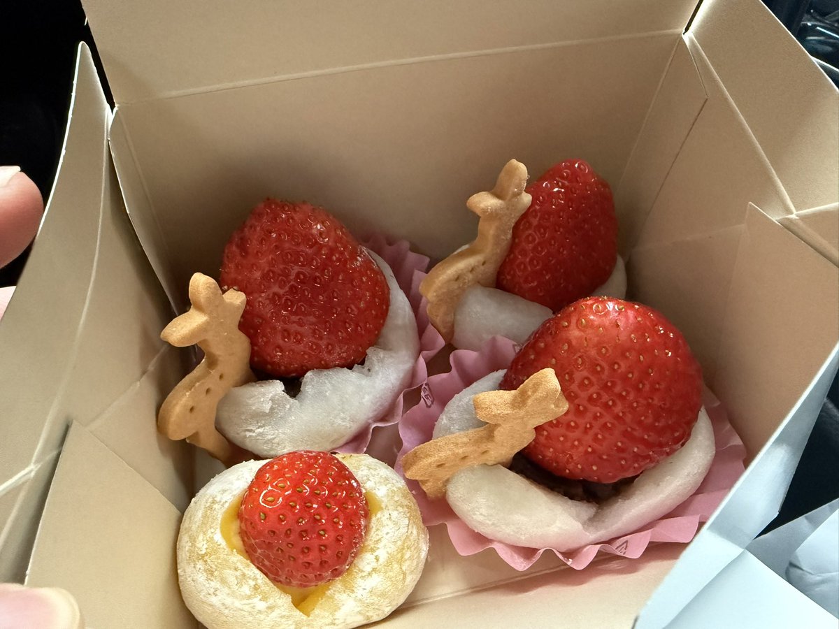 【WTG】わちくん tweet media