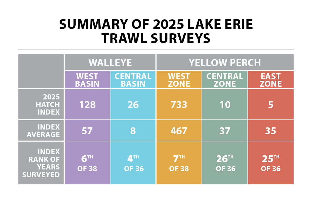 OhioDivWildlife's tweet photo. NEWS: Results from the 2025 Lake Erie trawl surveys revealed the walleye hatch as the sixth largest of the past 38 years. The 2025 west zone yellow perch hatch ranks as the seventh largest of the past 38 years.
🔗 https://t.co/cdpdnFg5Re https://t.co/ih8ML39ldQ