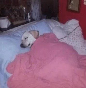 “en vacaciones se viene mi glow up”

yo en vacaciones: