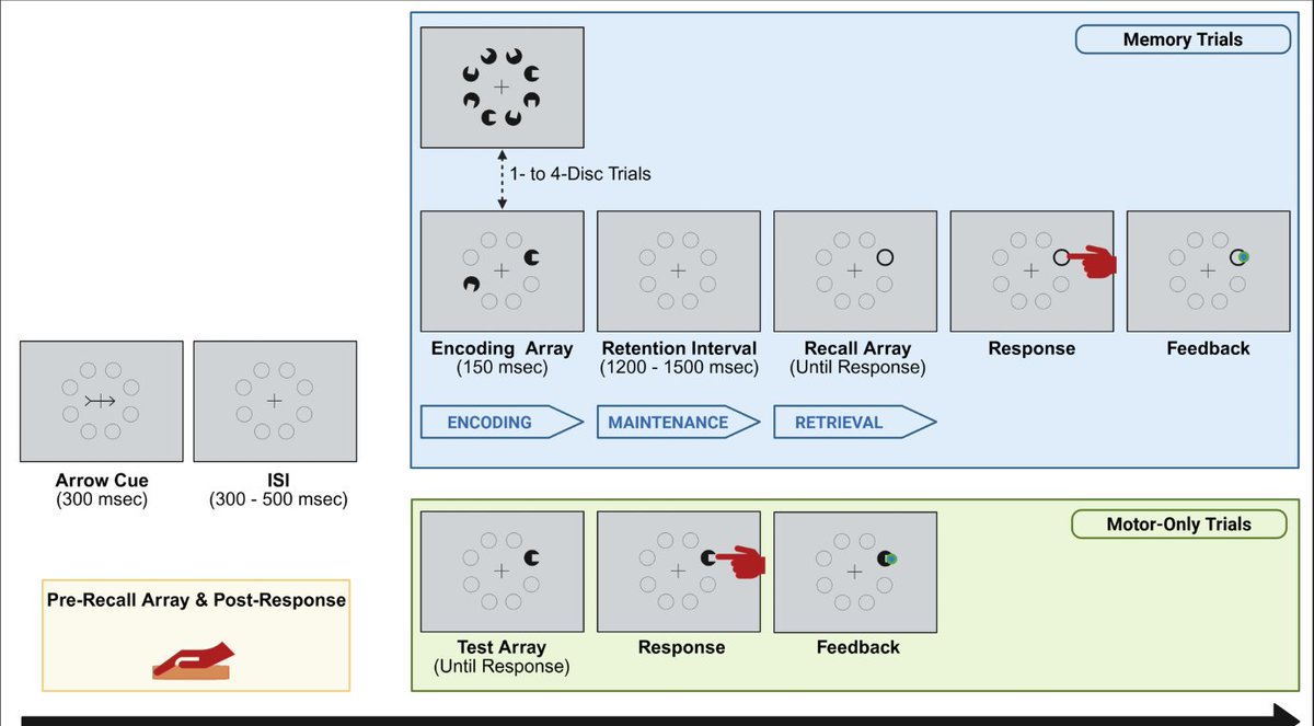Cognitive Neurophysiology Lab (@CNL_Einstein) / Posts / X