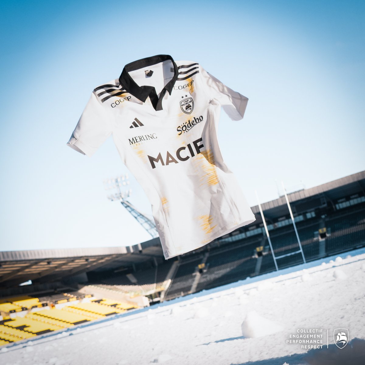 Stade Rochelais tweet media