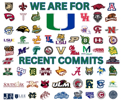 United Baseball Organization tweet media