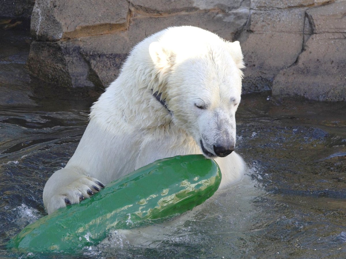 Kansas City Zoo & Aquarium tweet media