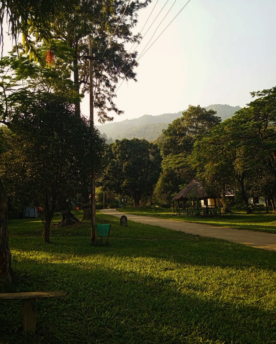 India Aesthetica tweet media