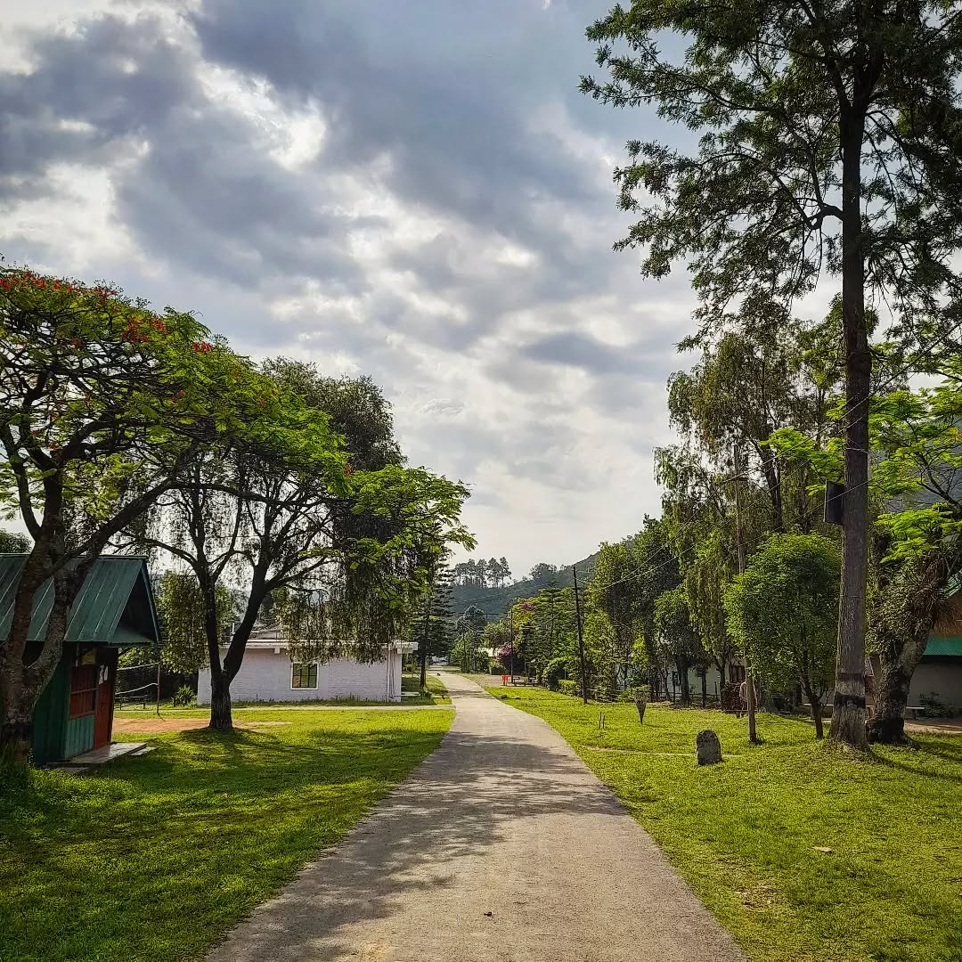 India Aesthetica tweet media