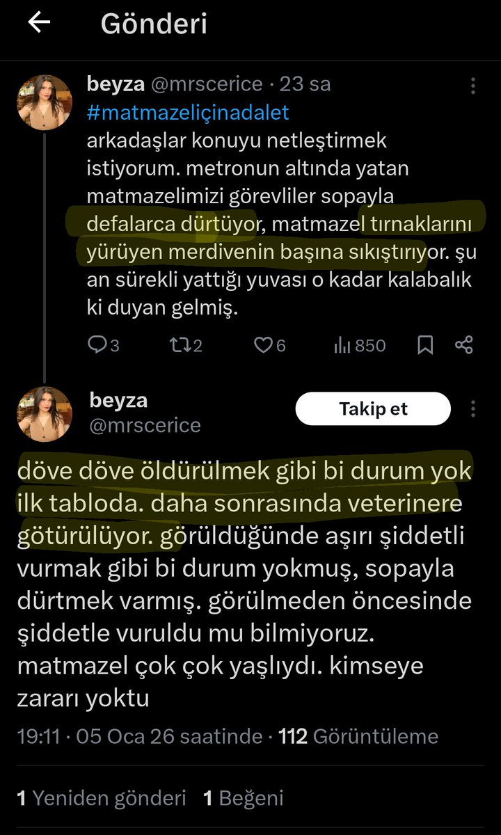 Matmazeli kim neden öldürdü? 
Bu nasıl terör faaliyeti? 

Hayatları yalan dolan. Ortaya attıkları yalanlar ve iftiralar ile senelerdir koskoca bir toplumu da terörize ediyorlar. 

Matmazel sopalarla dövüldü!? 
Görgü tanıkları sadece sopa ile iteklendiğini söylüyor, kamera