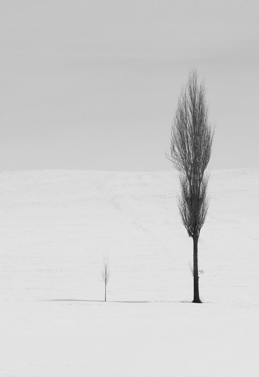 Abbas_rahmani63's tweet photo. ✔️sold
Collected by: @ArtMonochrome2

dear Anna, thank you very very much for collecting an edition of "Big and Small".🙏😊🌺

"Big and Small"    7 #tezos

Link:
https://t.co/ZDD6EAgM2n https://t.co/ufaL6zW88T