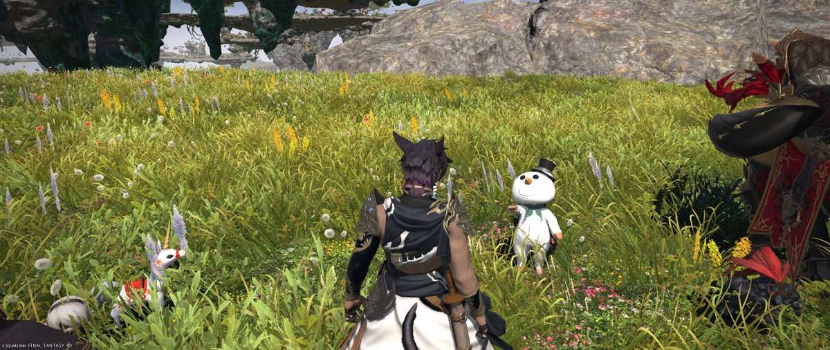 たけじょさんと初めてゲーム内でお会いした！
見覚えのあるララだるまだ…と思ったらご本人だった