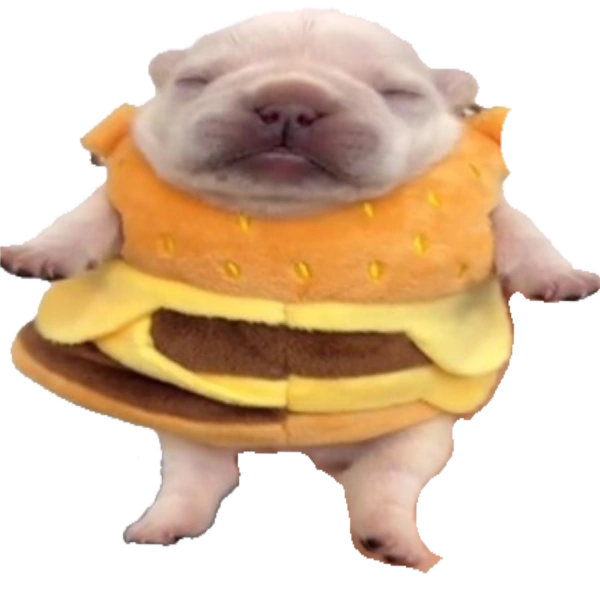 Explorer (Coms Open) tweet media