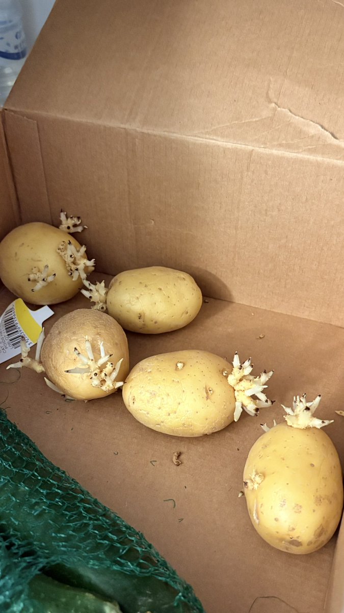 je pars 2 semaines je reviens mes pommes de terres elles ont des pâtes de poulet