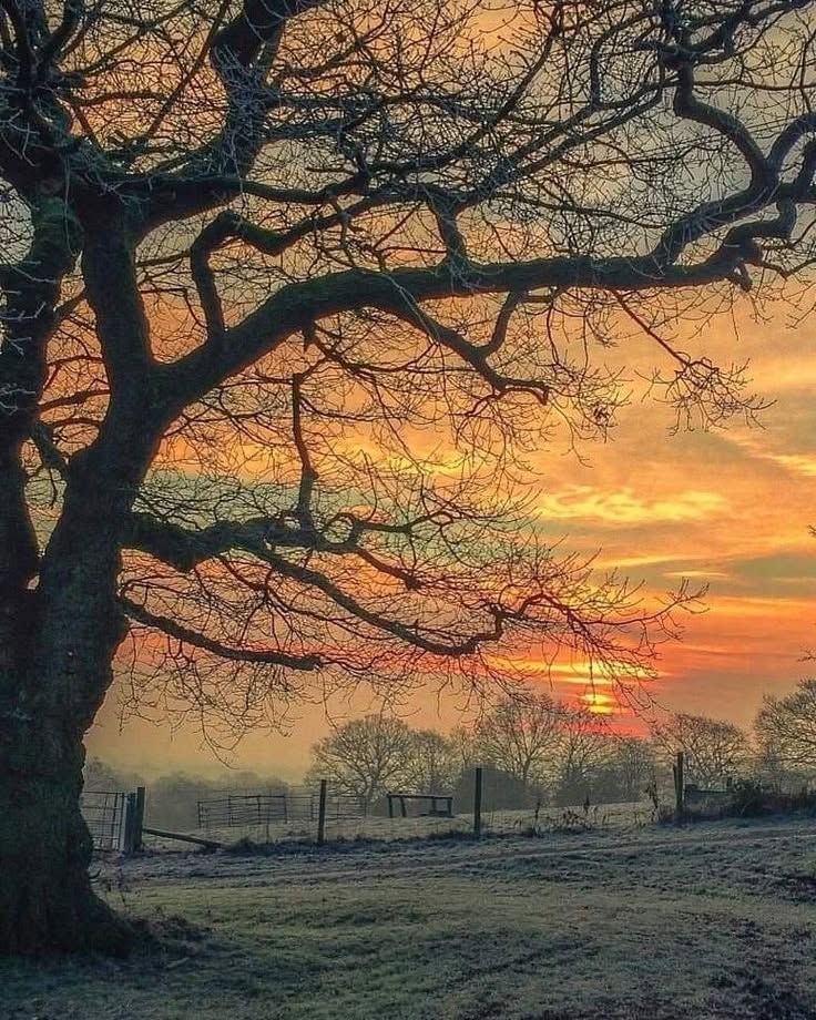 Good morning! Enjoy the day!🧡