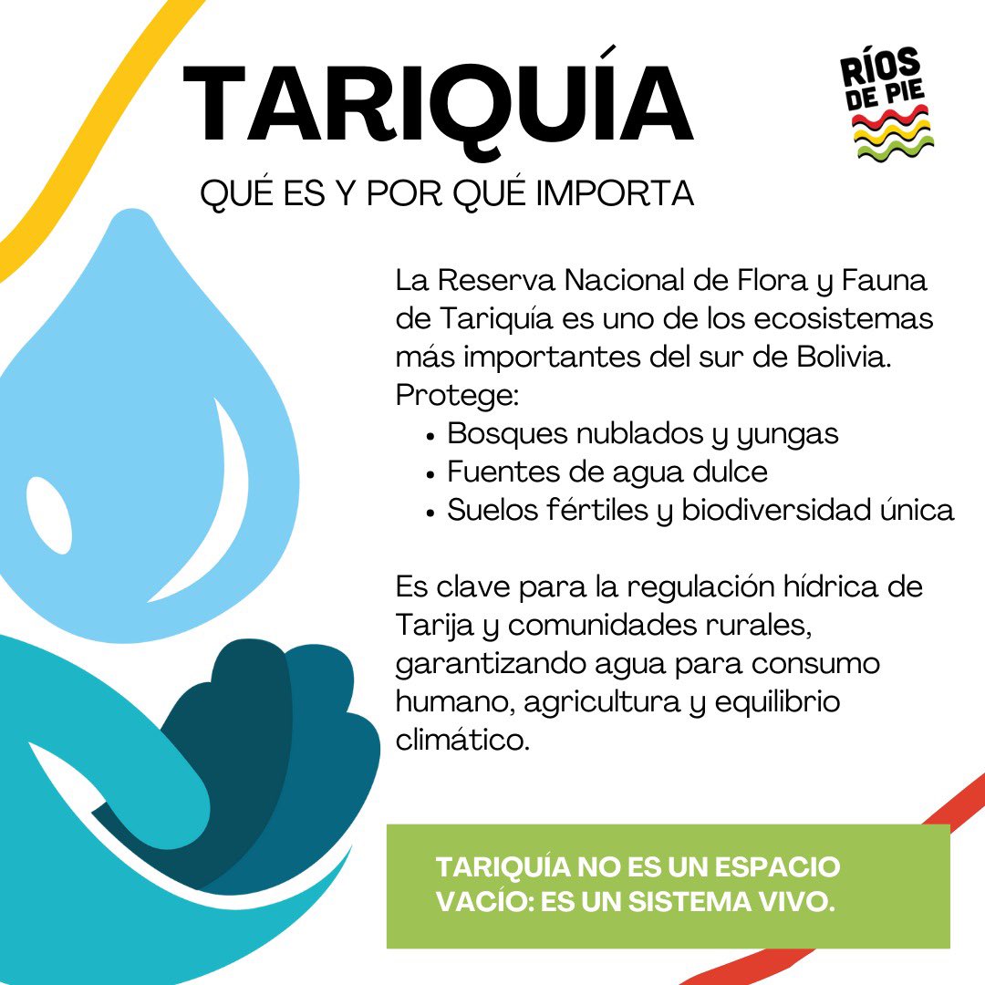📢 Llamamos al Gobierno Nacional a hacer lo correcto.

Lo que ocurre hoy en la Reserva Nacional de Flora y Fauna Tariquía no puede normalizarse.
