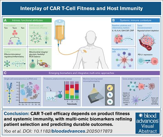 Blood Journals Portfolio tweet media
