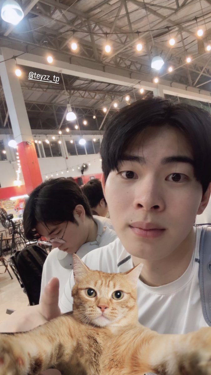 Atcharin347255's tweet photo. มีใครดื้อกว่านี้ปะ น่ารัก
@mytonsrn
#mytonsrm
#ต้นรักของศรัณญ์
IGs Mytonsrn https://t.co/Qq2IUOcuRH