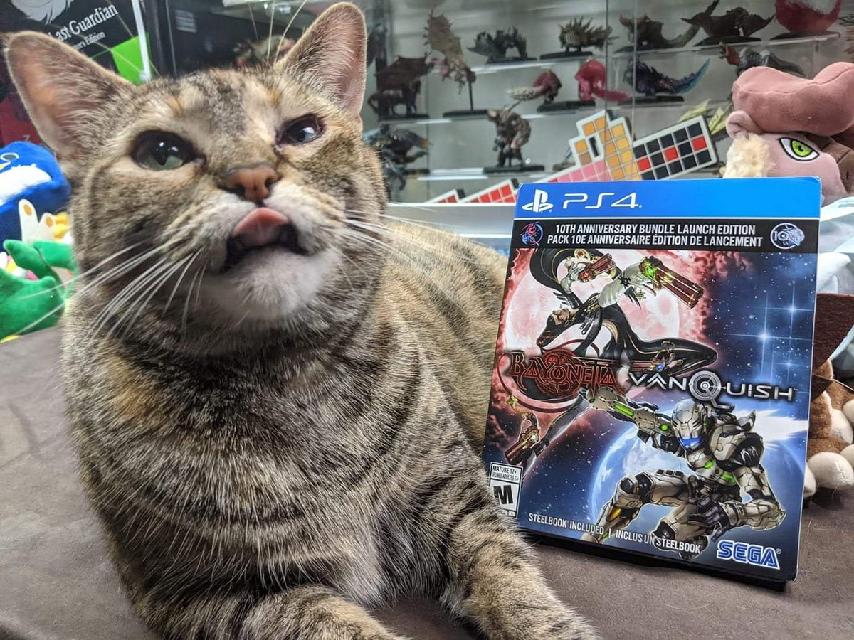 kitty_bit_games's tweet image. fart IQ