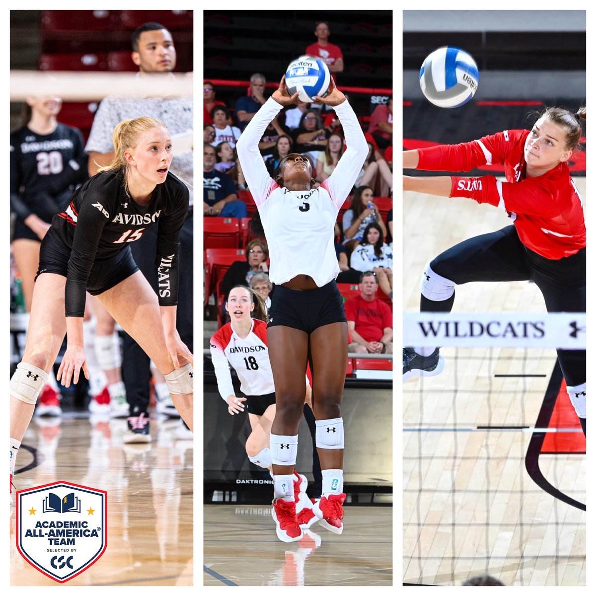 Davidson Volleyball tweet media