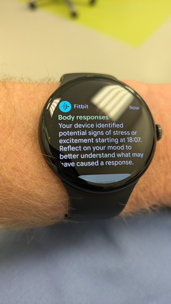 Dolphin.Runner tweet media