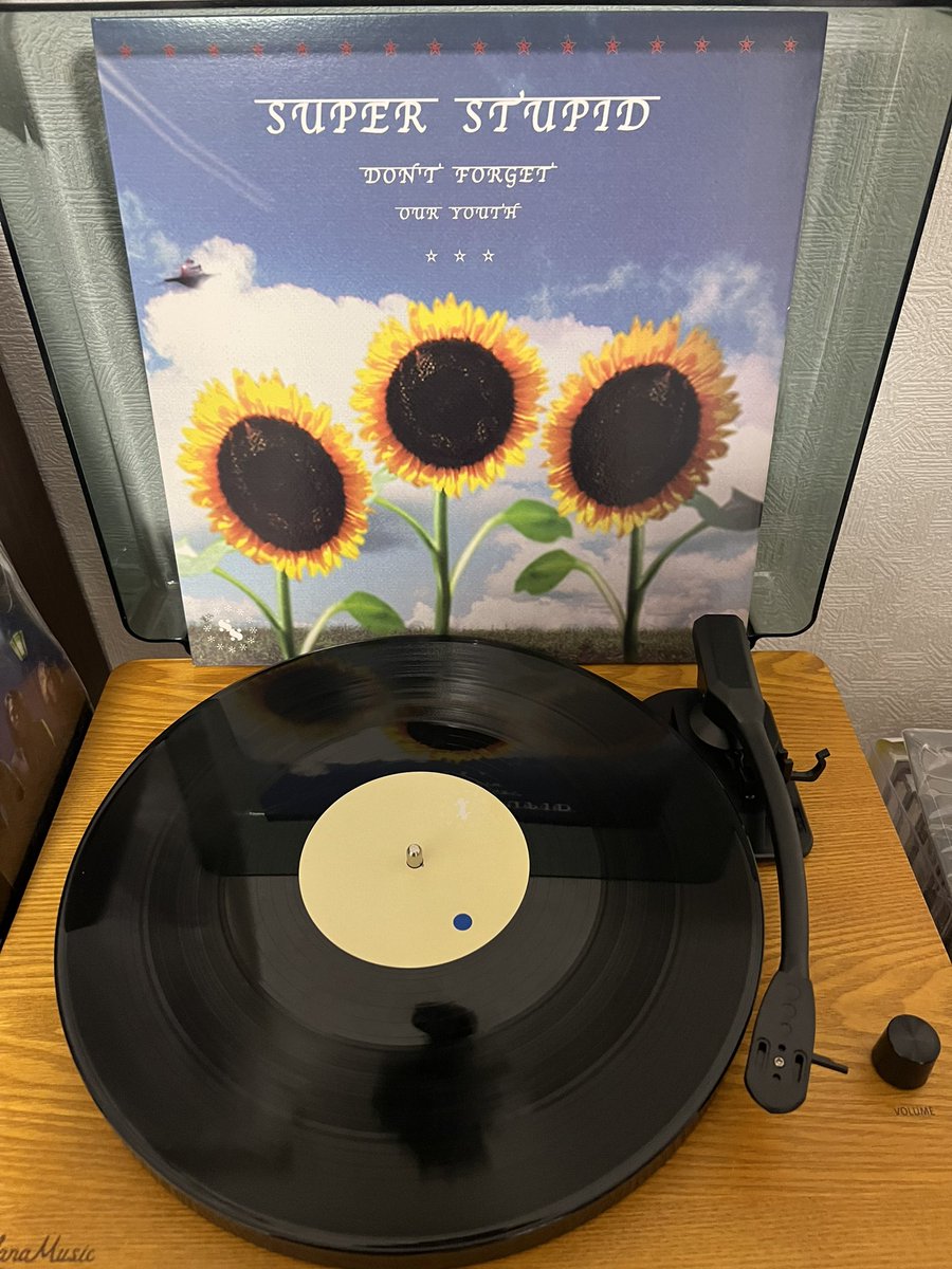 TRIPLE  レコード　Record 1日1作品レコード紹介 33日目 SUPER STUPID 「DON'T FORGET OUR YOUTH