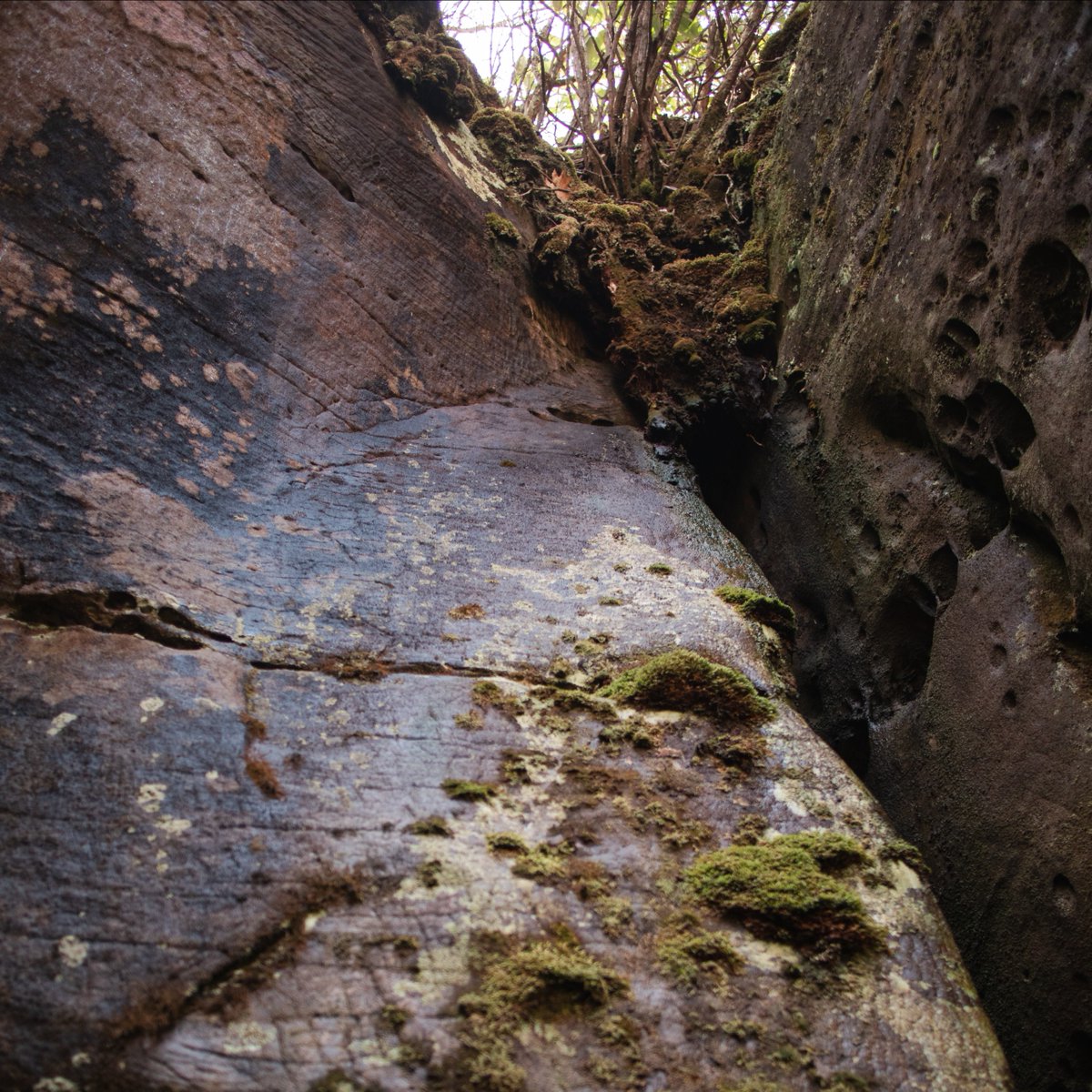 Southwest Virginia tweet media