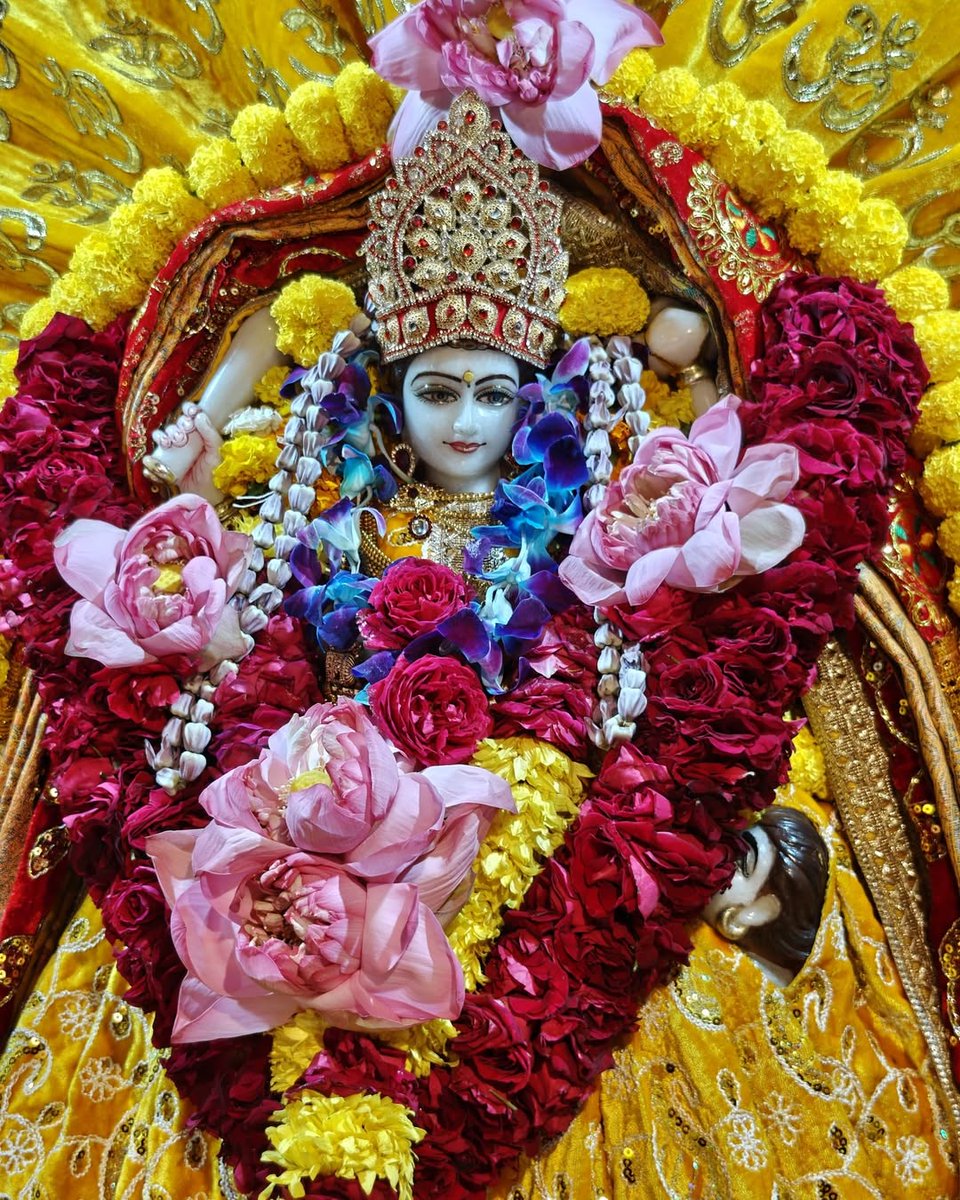 🙏 जय माई की 🙏