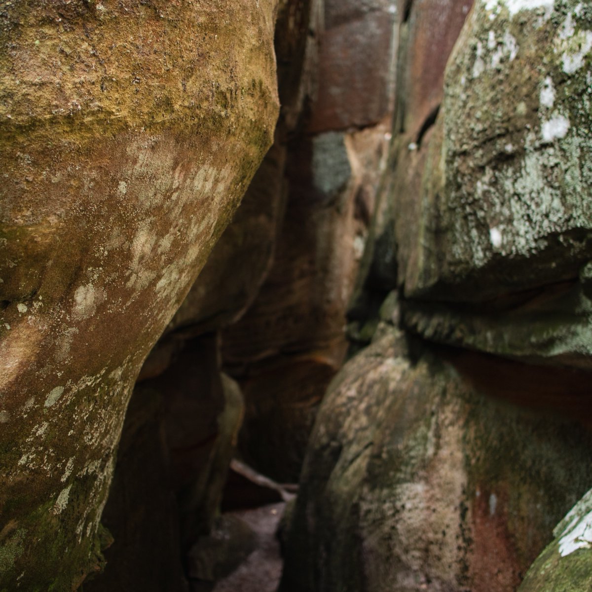 Southwest Virginia tweet media