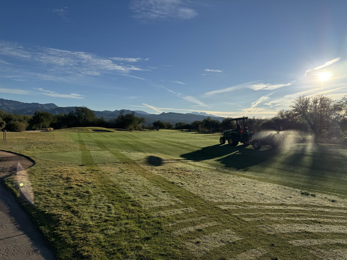 Travis Blamires tweet media