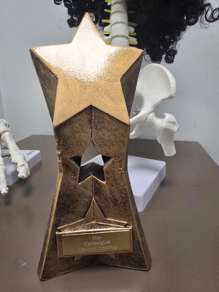 SFT_CodingTeam tweet media