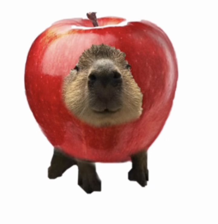 너무 많은 실수를 했어요
눈치만 보느라 기력을 다 쓴 것 같아요
그래도 기죽지 않을 거예요
처음은 누구에게나 어려우니까요
한달만 지나면 사람들이랑도 친해지고 맡은 일도 익숙하게 잘 해낼 거예요
일취월장할 제가 기대돼요!!