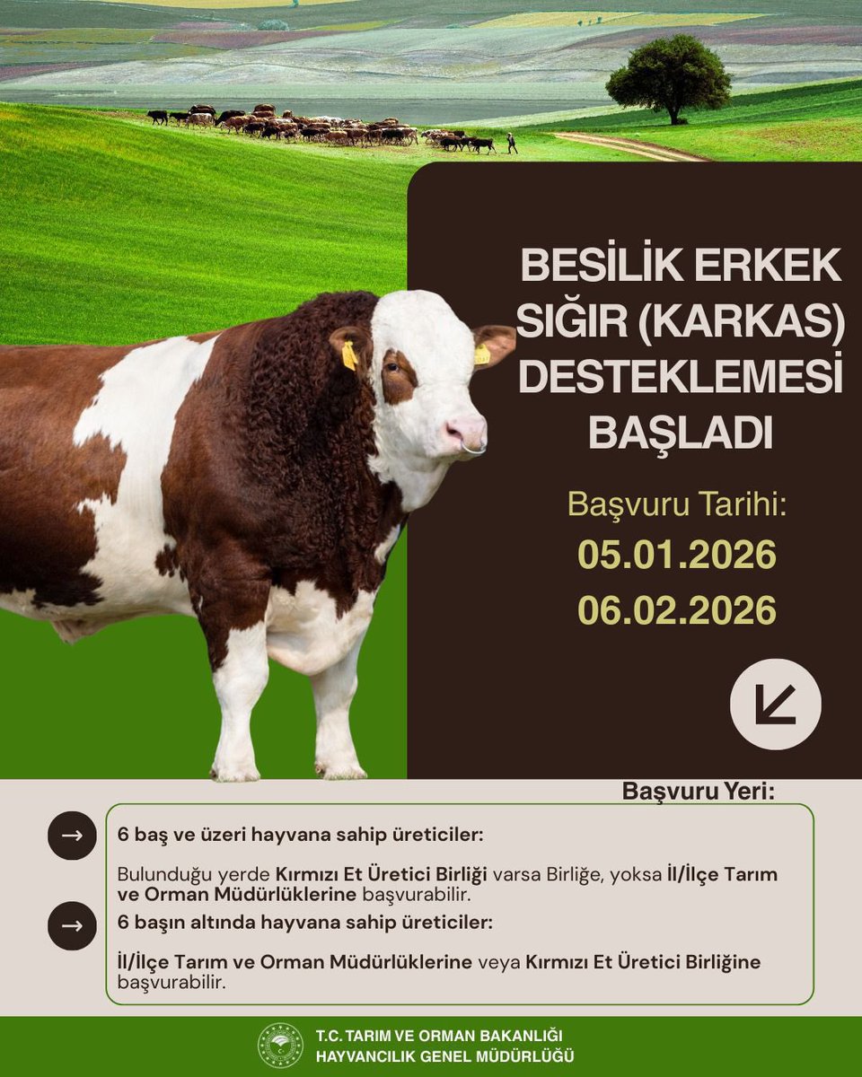 📢 Besilik Erkek Sığır (Karkas) Desteği başvuruları BAŞLADI!

✅ Üretimde sürdürülebilirlik
✅ Üretici kârlılığına doğrudan katkı

Üreticimizin yanındayız, üretime güç katıyoruz. 

Detaylı bilgi için İl/İlçe Tarım ve Orman Müdürlüklerimize müracaat edebilirsiniz.

<a href="/TCTarim/">T.C. Tarım ve Orman Bakanlığı</a>