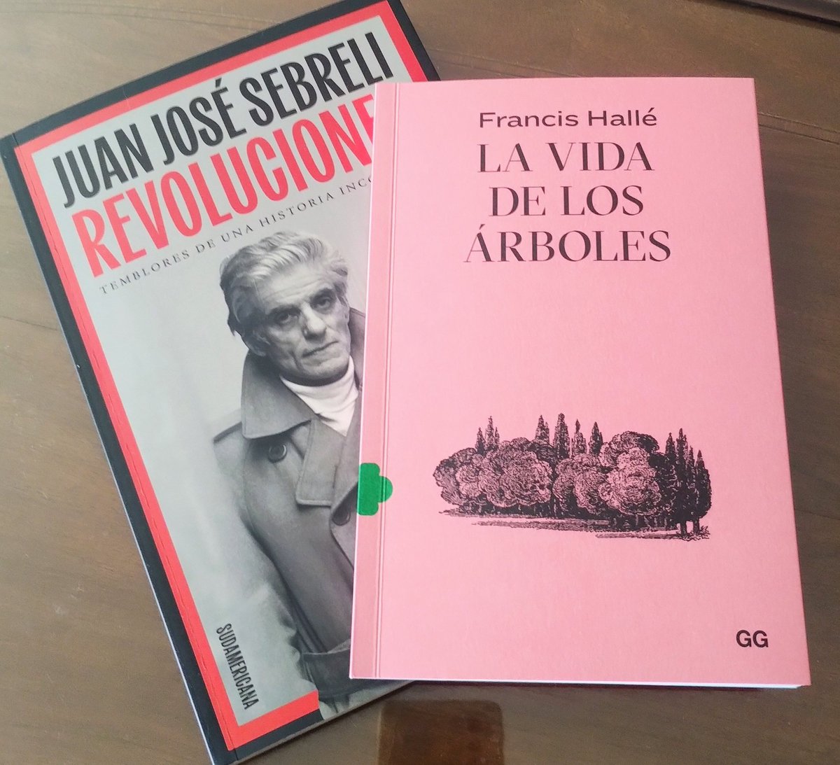 MelgarGra's tweet photo. Y llegaron los Reyes Magos y trajeron lo que les pedí 💃💃💃
"Revoluciones", #Sebreli, desde @LibreriasGandhi, y "La vida de los árboles", #FrancisHallé, desde @libreriahernand
#Libros
#Felicidad
#LecturasRecomendadas https://t.co/pJJdgO2RV8