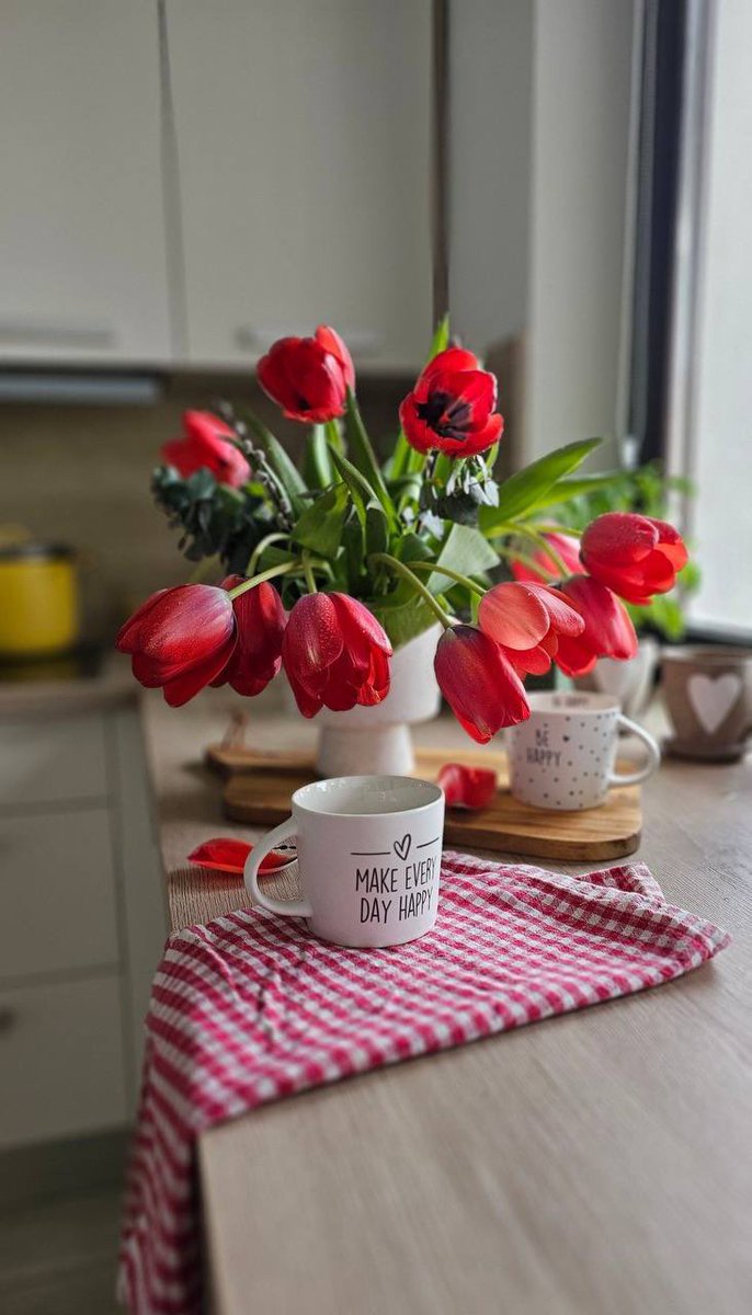 ᓚɺIᓅɹ̤ȷ ♪ tweet media