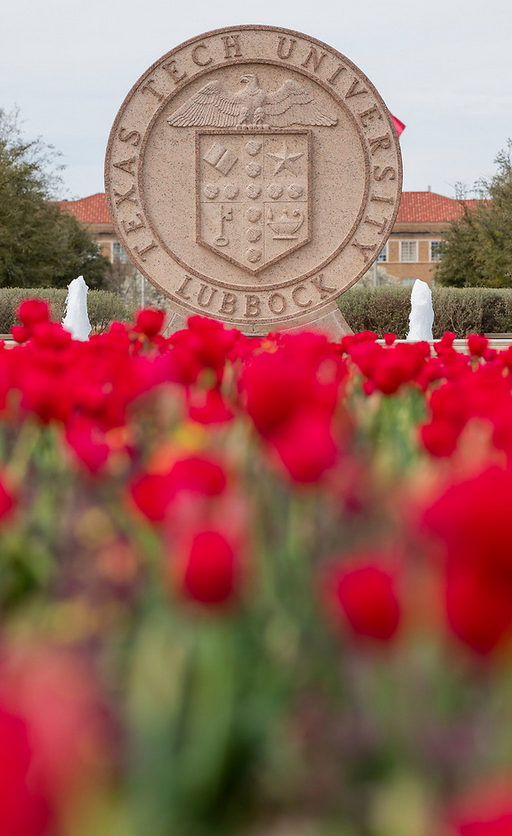 Alexander W. Wiseman tweet media