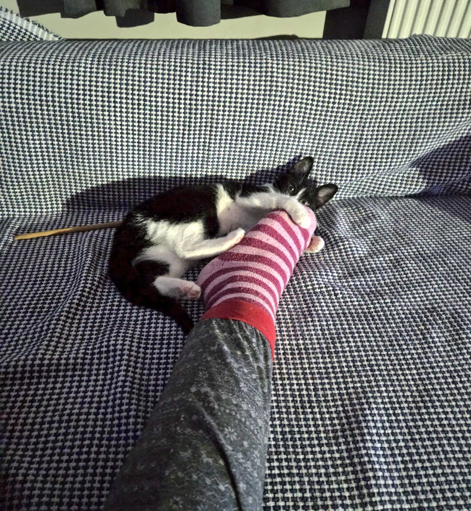 bilen bilir, dünyanın en güzel hislerinden biri budur: