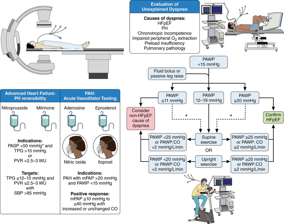 Orly Leiva, MD tweet media