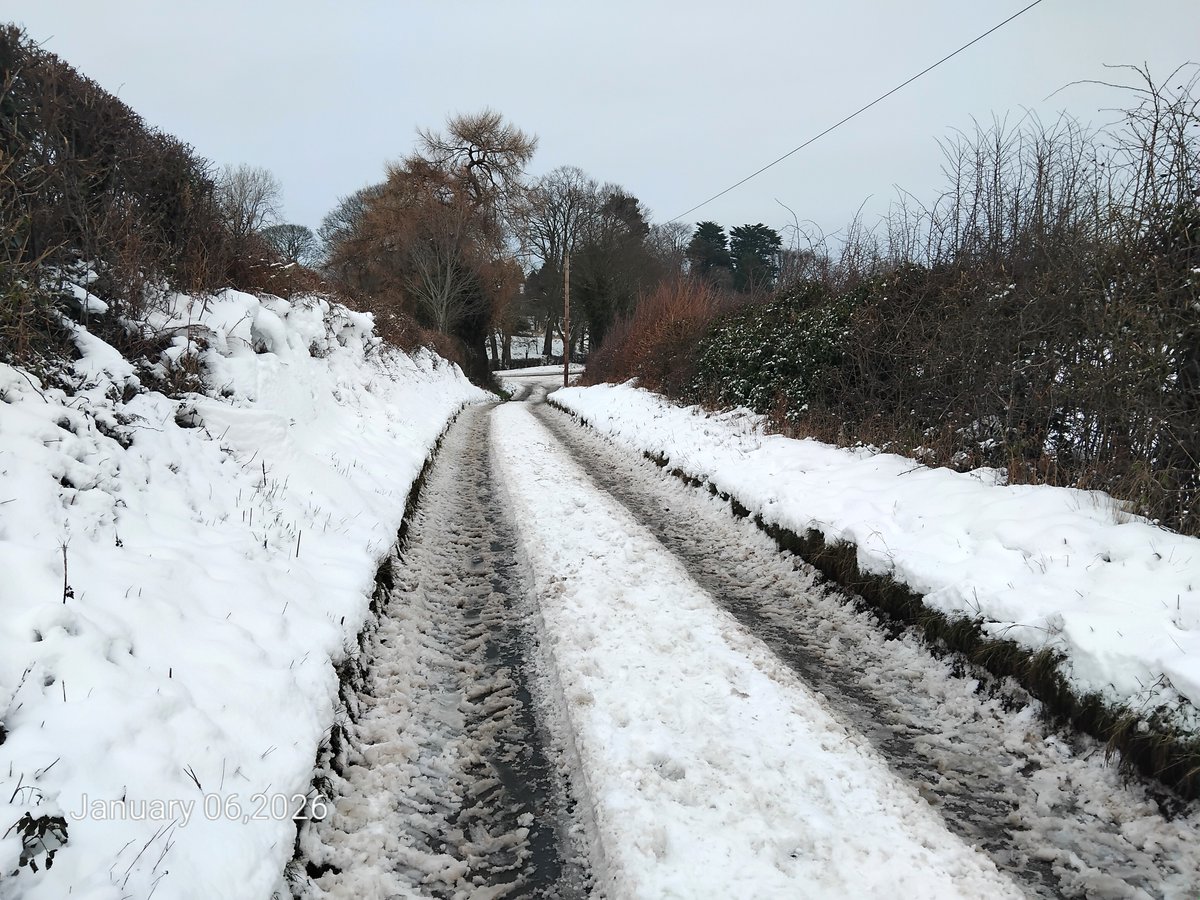 Robert Walton tweet media