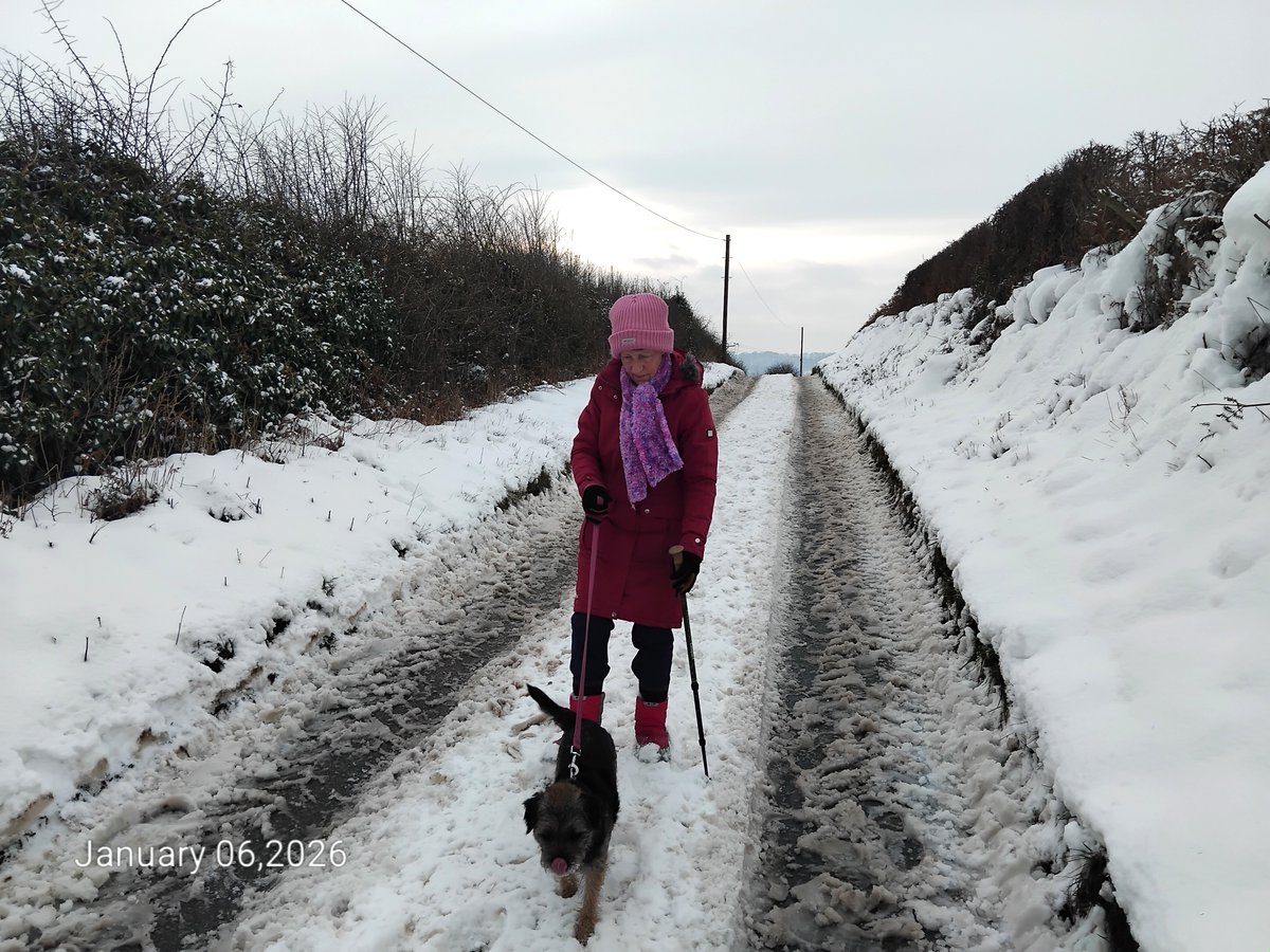 Robert Walton tweet media