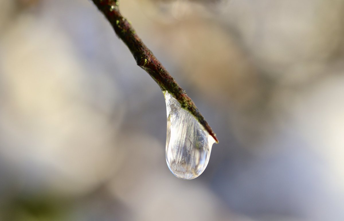 Edel Mairs tweet media