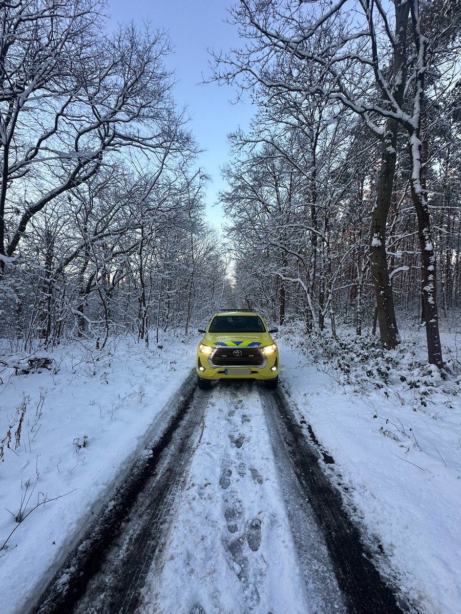 Weginspecteur William tweet media