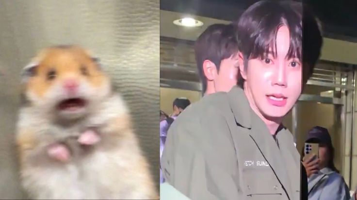 ✱ ⸝⸝ ꐙ𝟮𝟭𝟴 ⋮ 𝓜 𝙸𝙽 —— 𝐇𝑜 ꒱ 💥 ୭ tweet media