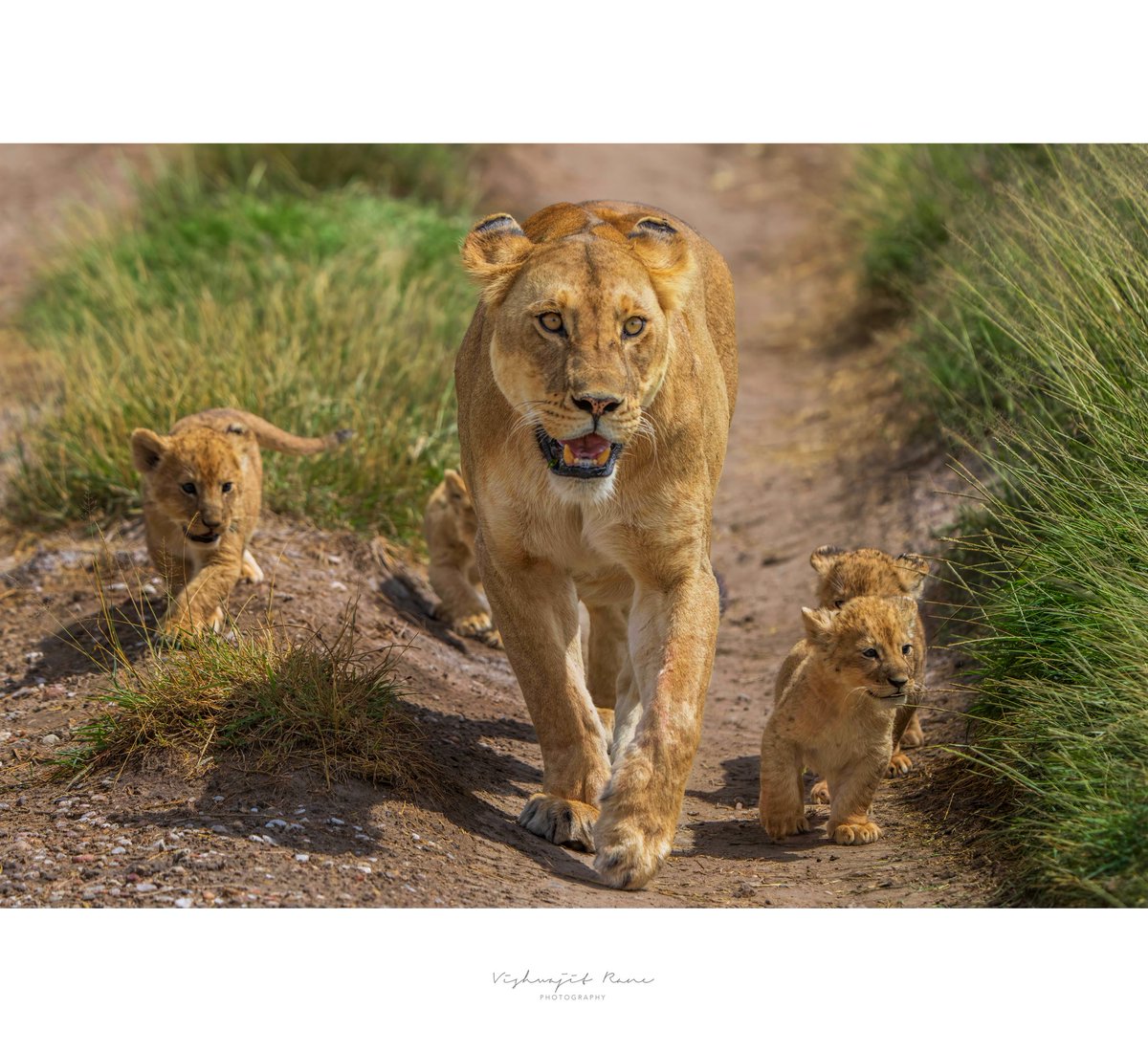 A moment of guidance and guardianship - the next generation learning the rhythm of the wild.
