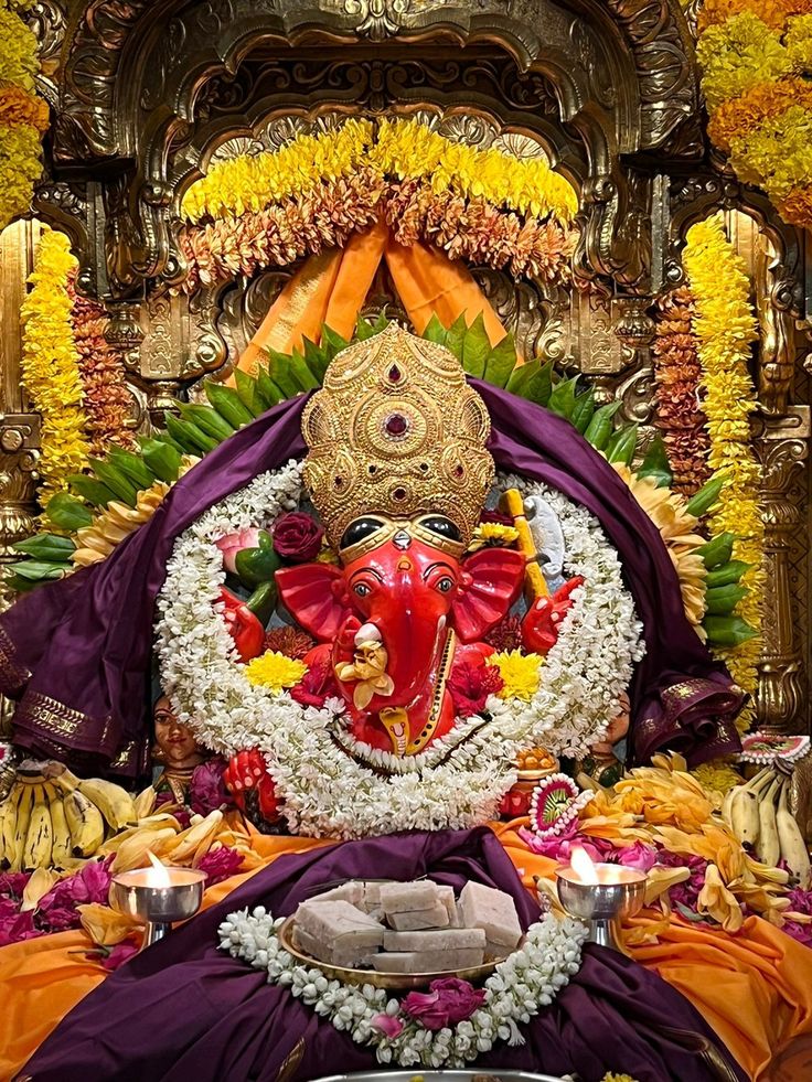 रानी पुरोहित tweet media