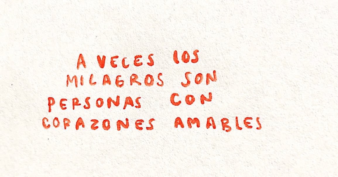 notasyfotos's tweet image. 