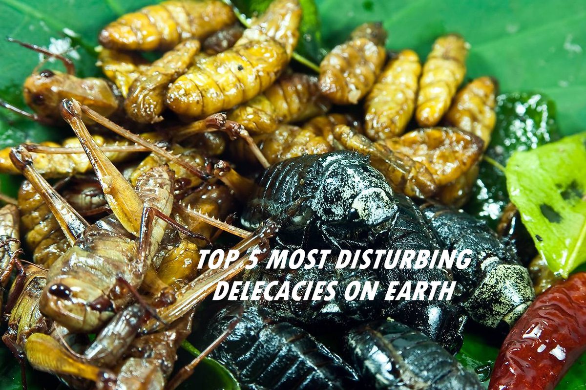 @TopListCreations tweet media