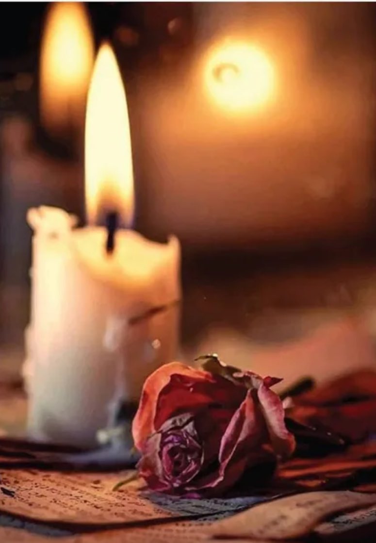 ᓚɺIᓅɹ̤ȷ ♪ tweet media