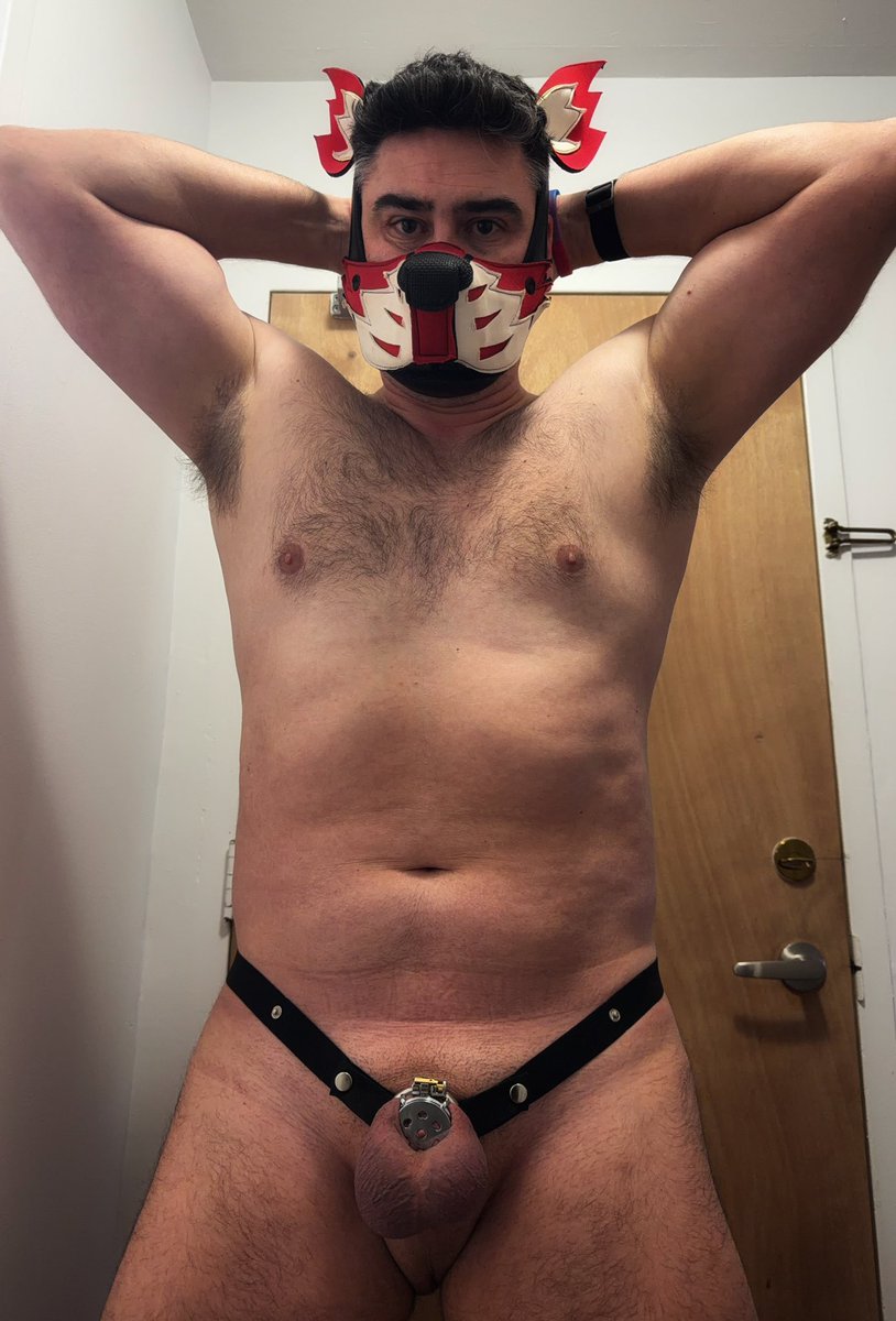 Pup Exo 🇨🇦 tweet media