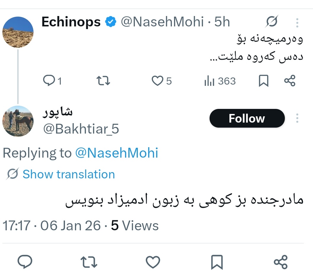 Echinops tweet media