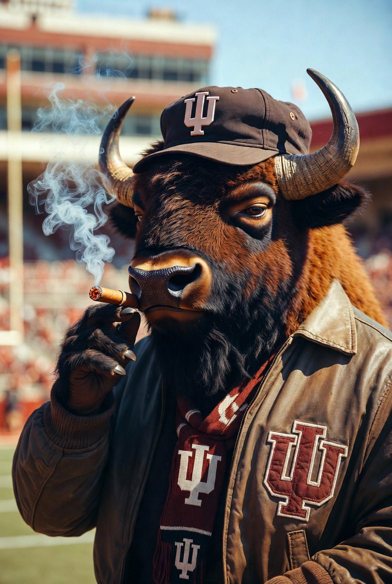 lefpsyd's tweet photo. Looking forward to the Peach Bowl. Go Hoosiers! #iufb #NeverDaunted https://t.co/L0jDJmluyR
