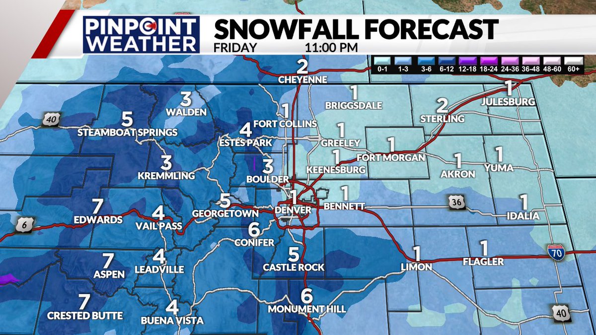 Kylie Bearse tweet media